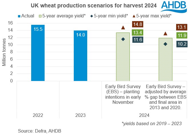Graph of UK wheat productin scenarios for harvest 2024.
